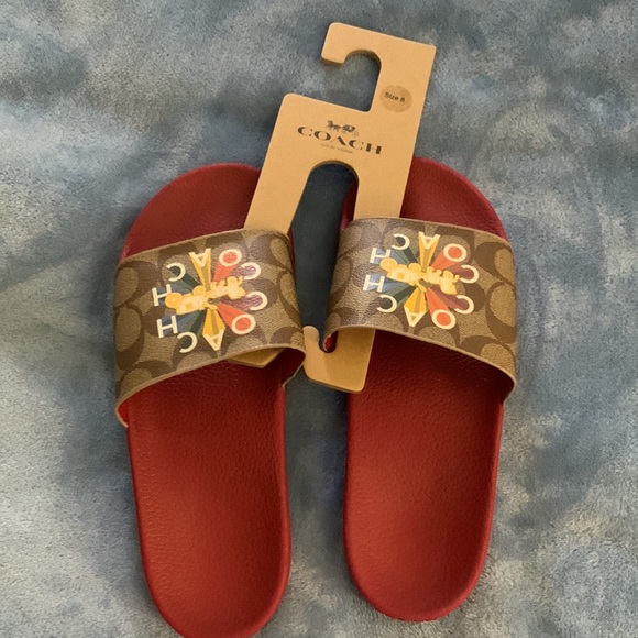 Coach slides - Picture 7 of 7